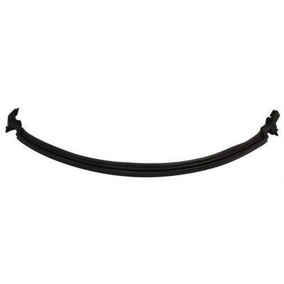 Crown Automotive Windshield Cowl Seal - 55395241AE